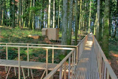 Waldsteg mit Waldkinos von Wetz